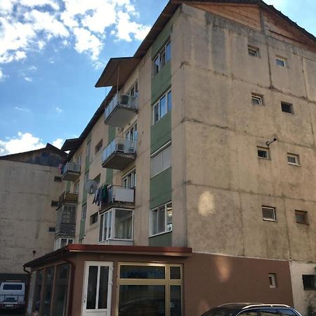 Apartamente Gildo 20 Borşa Eksteriør billede