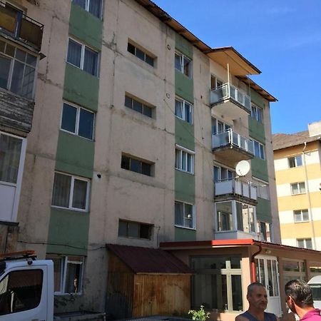 Apartamente Gildo 20 Borşa Eksteriør billede