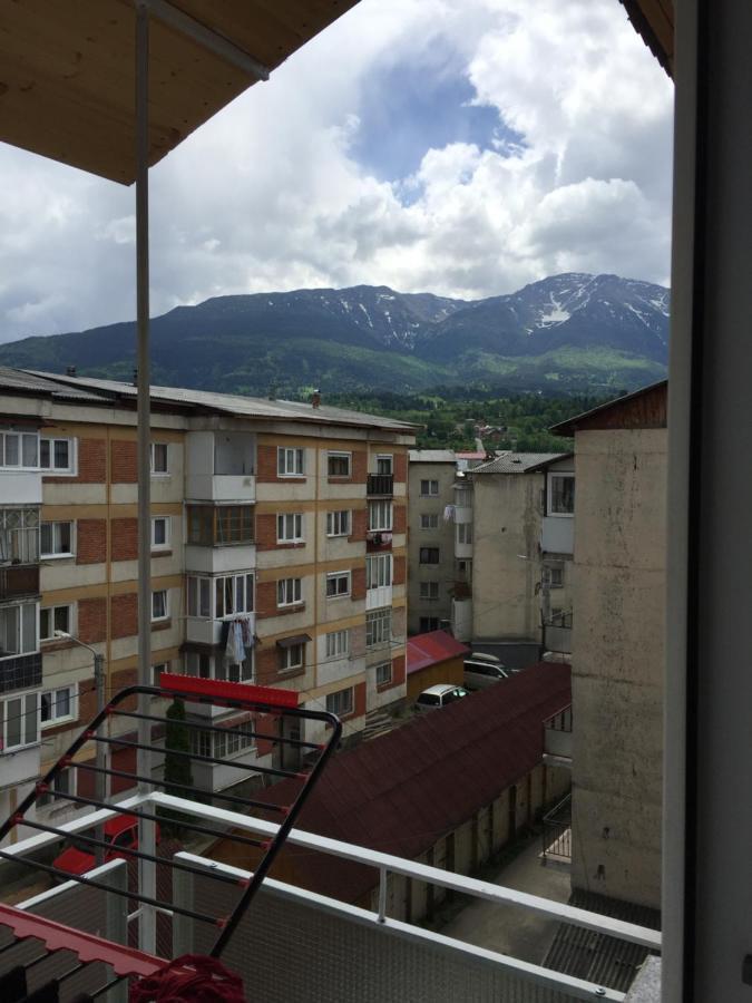 Apartamente Gildo 20 Borşa Eksteriør billede